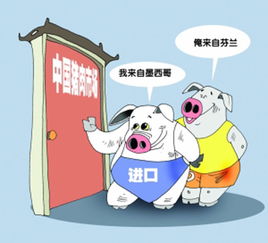 豬肉進口量創新高，價格優勢推動網上貿易代理興起